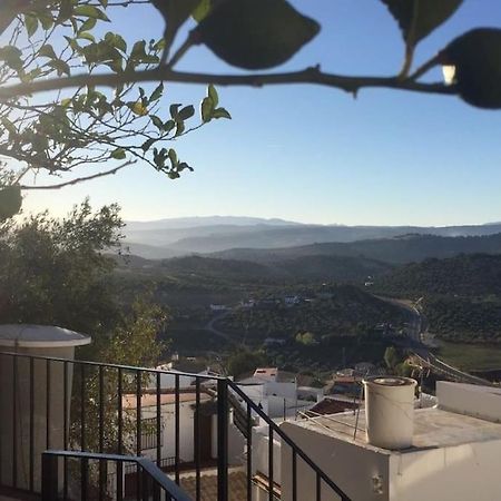 Mirador Del Olivar 奥维拉 外观 照片