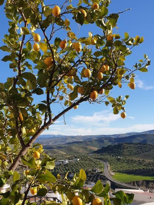 Mirador Del Olivar 奥维拉 外观 照片