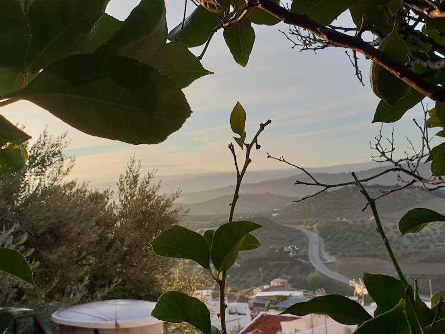 Mirador Del Olivar 奥维拉 外观 照片