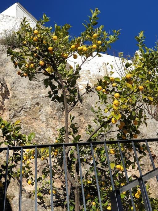 Mirador Del Olivar 奥维拉 外观 照片