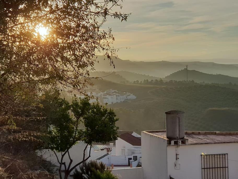 Mirador Del Olivar 奥维拉 外观 照片
